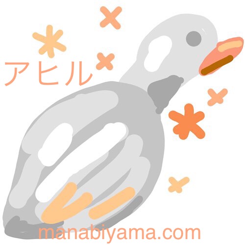 ”絵しりとり・アヒル”
